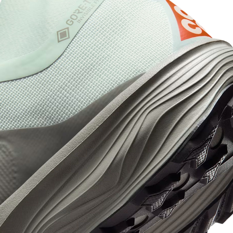Scarpe uomo ACG Pegasus Trail GTX