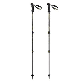 Bastoncini Backcountry Carbon 2.0